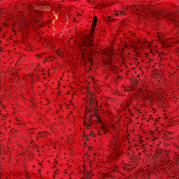 Red Laced Mesh Top - Picture 3 of 6
